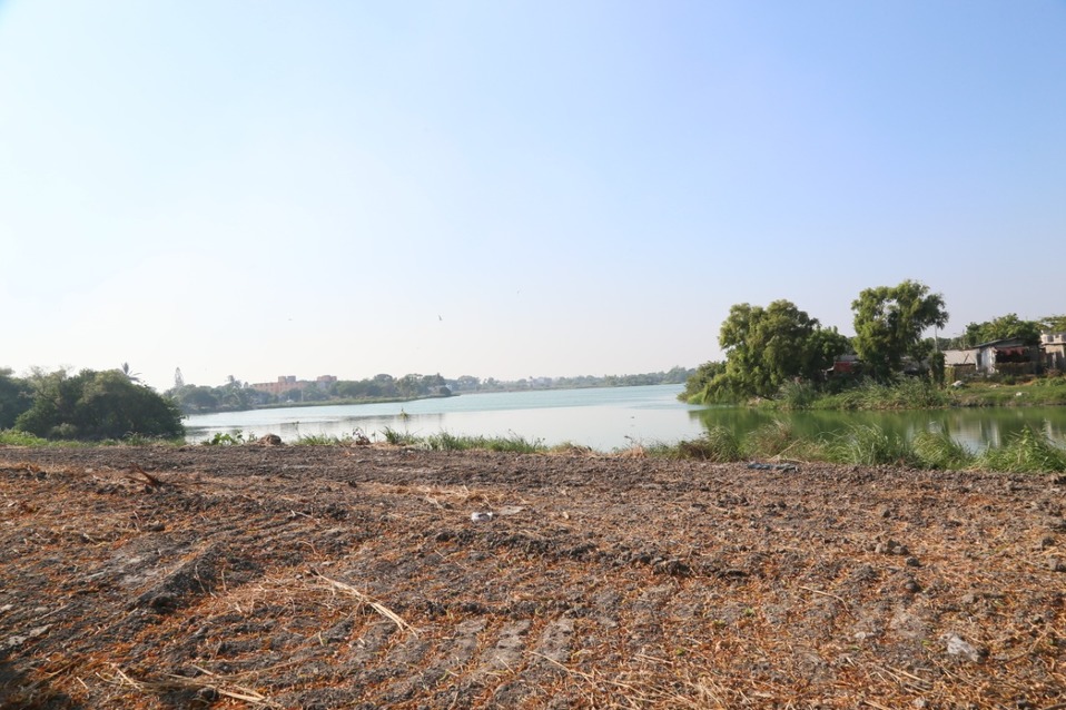 Laguna de Ciudad Madero. Foto: (Denis Sánchez)