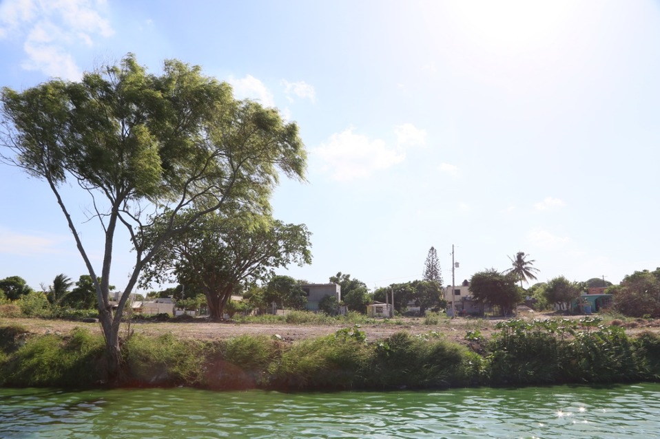Laguna de Ciudad Madero Foto: (Denis Sánchez)