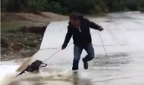 El funcionario usó una cuerda para rescatar al perrito. (Especial)