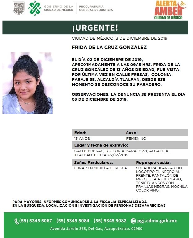 Frida de la Cruz González fue vista por última vez con dos adolescentes. (Tomado de PGJ de CdMx)