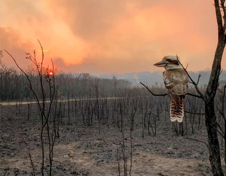 Las emisiones de CO2 en el mundo se mantuvieron al alza en 2019. (Reuters)