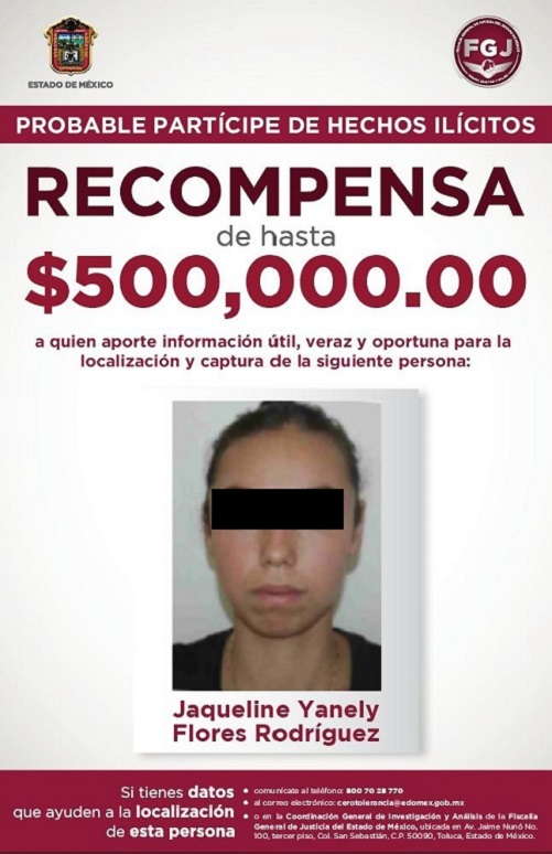Ficha de búsqueda. (Especial)