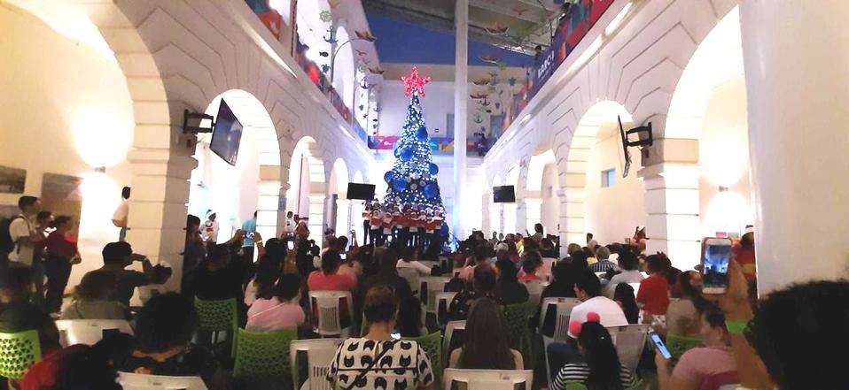 Encendido de pino navideño.