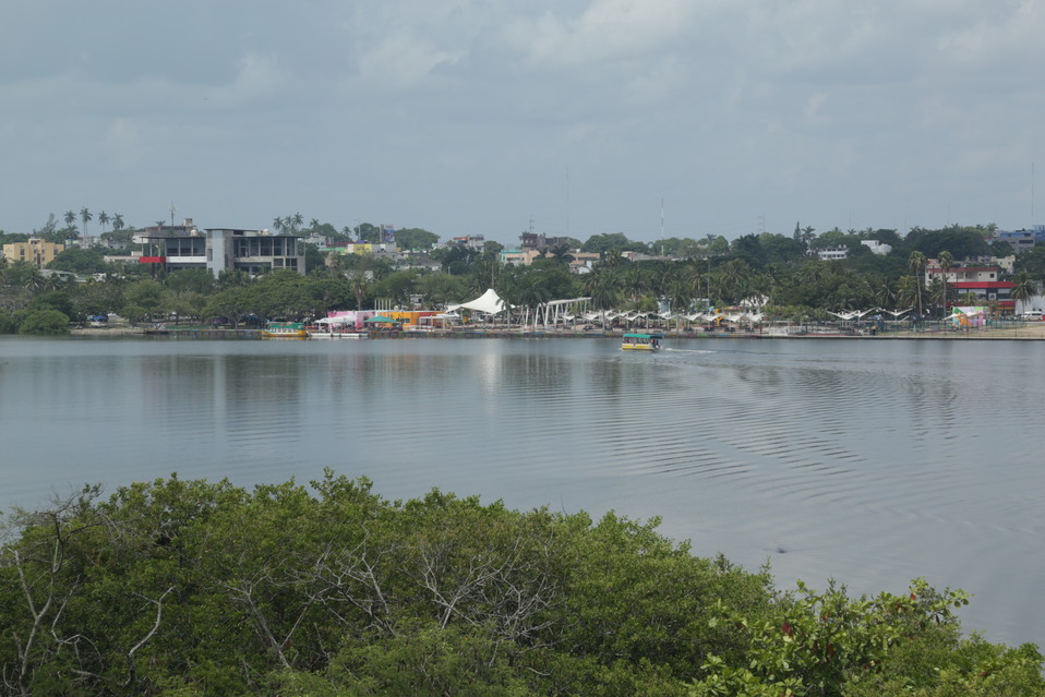 Laguna del Carpintero de Tampico.