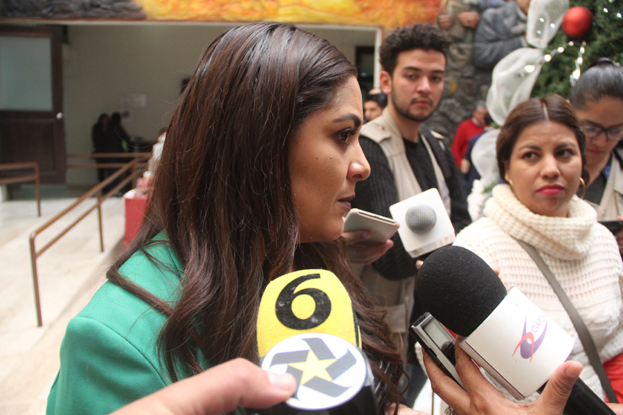 Alicia Gamboa, presidenta de la Comisión de Equidad de Género. (Gilberto Lastra)