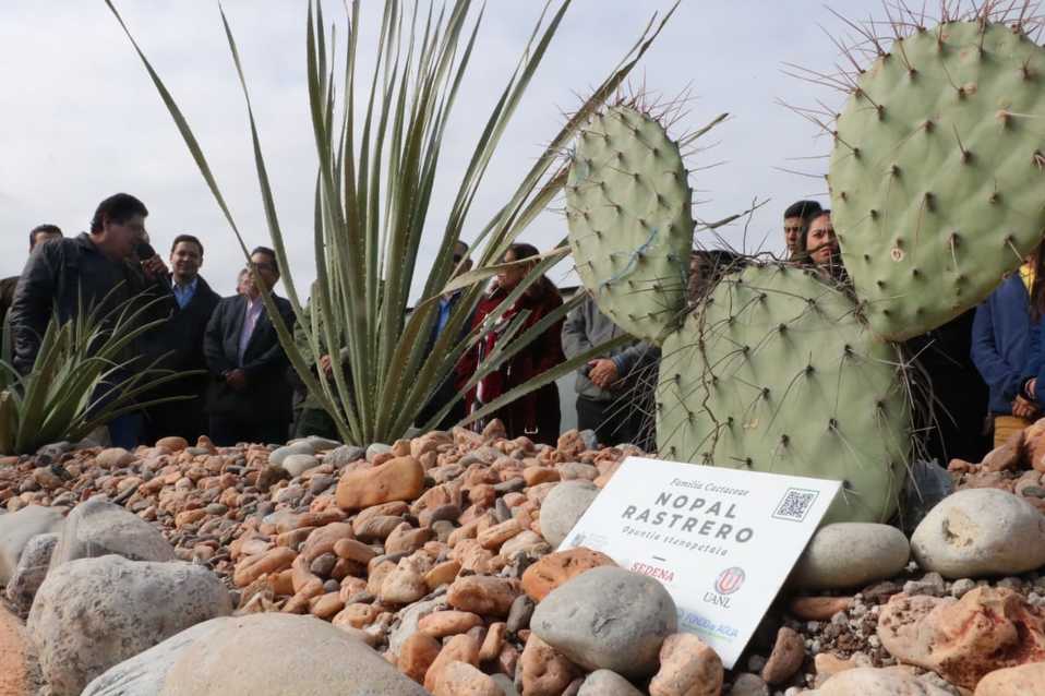 Jardín Botánico es la primera isla de vegetación que adornará el Bosque Militar. Foto: Leonel Rocha