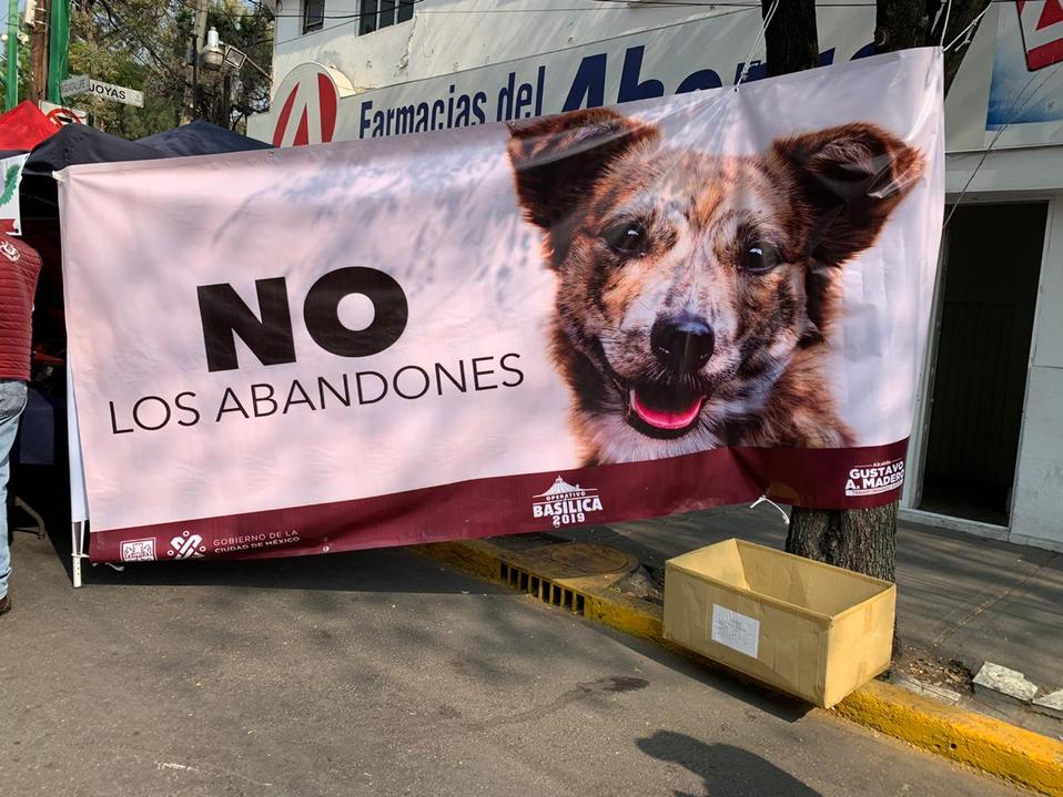 Peregrinos dejan cada año entre 100 y 200 mascotas. (Especial)