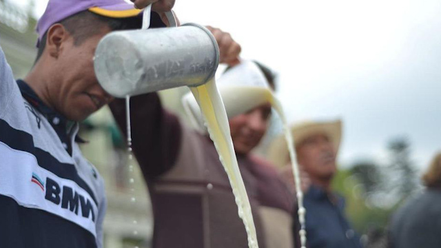 Diputados aprueban prohibición de vender lácteos como leche sin serlo
