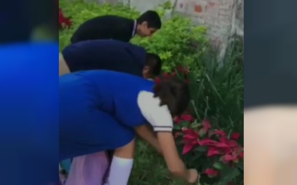 Estudiantes de secundaria vandalizan con nochebuenas en Tampico (Foto/Vía Redes Sociales)