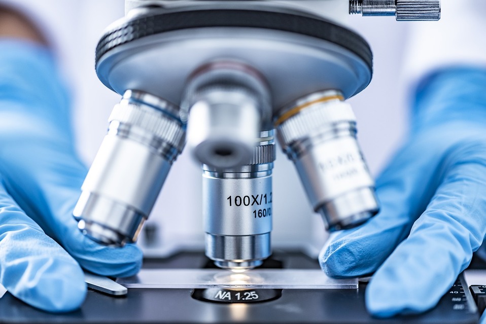 El banco de ADN es para uso forense. (Pixabay)