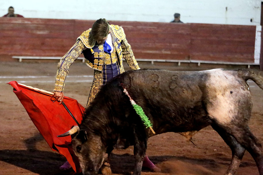 Cada comienzo de año se realiza esta tradicional novillada. (La Afición)