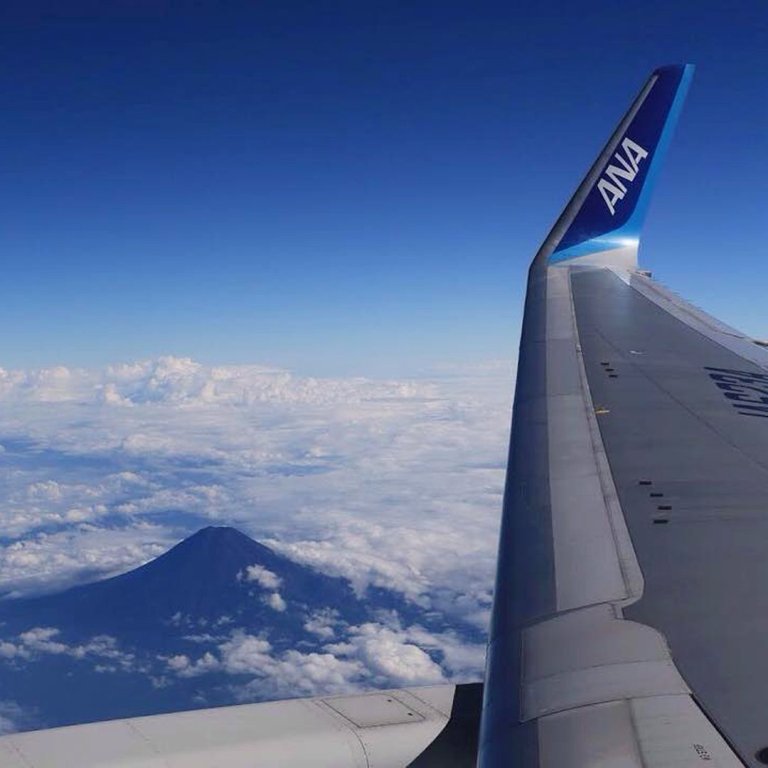 Los medidores de la nave mostraron un aumento brusco de la temperatura en el motor derecho. (Tomada de @staralliance)