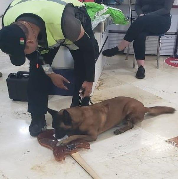 Con ayuda de un binomio canino se logró el aseguramiento de la guitarra. (Especial)