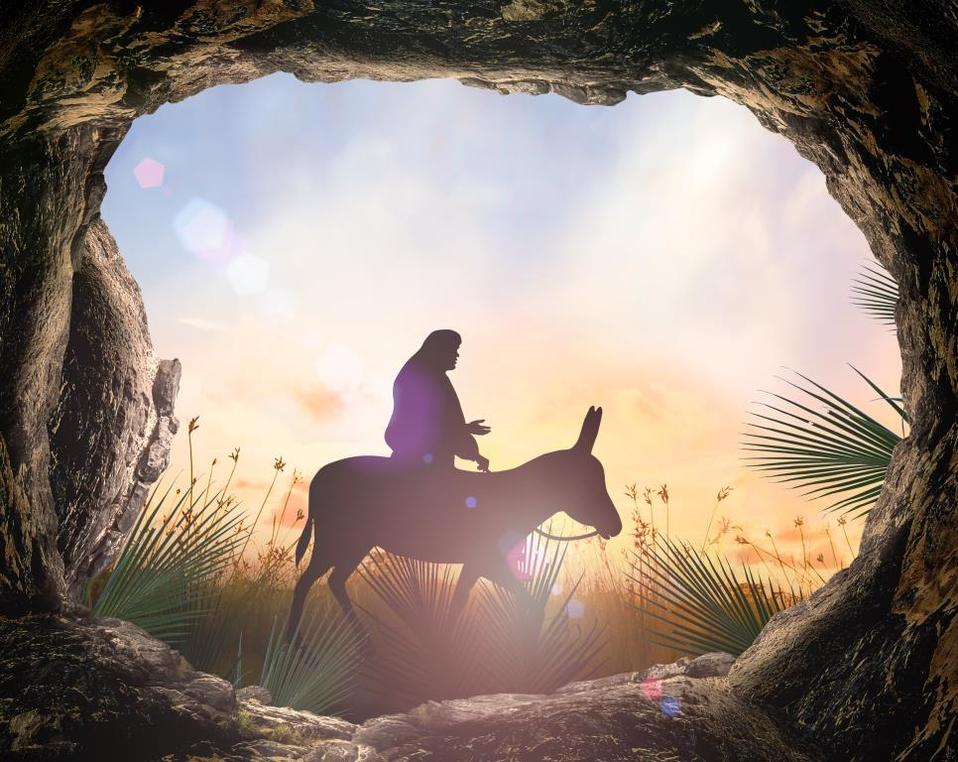 Arre borriquito: origen e historia de la canción (Shutterstock).