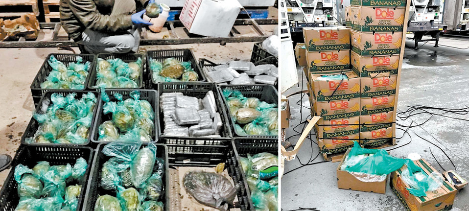 Cargamentos de vegetales en los que agentes estadunidenses hallaron distintos tipos de enervantes. (Especial)
