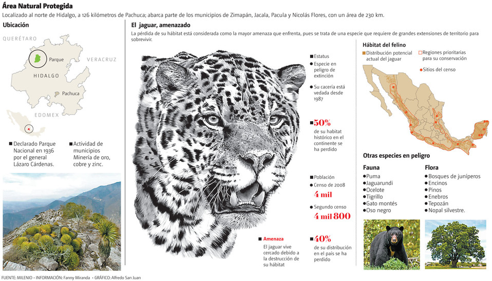 Área Natural Protegida. Localizado al norte de Hidalgo, a 126 kilómetros de Pachuca. (Gráfico: Alfredo San Juan)