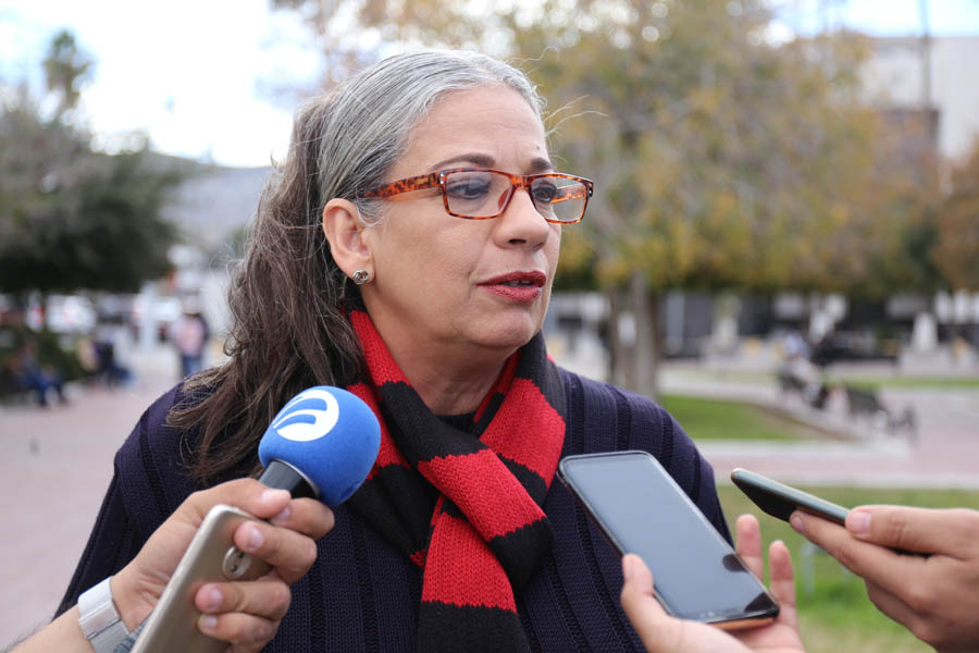 Ariadne Lamont, vocera de las agrupaciones. (Mauricio Román)