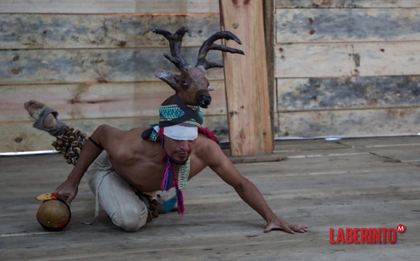 Los zapatistas compartieron sus historias de resistencia y rebeldía. (Foto: AG)