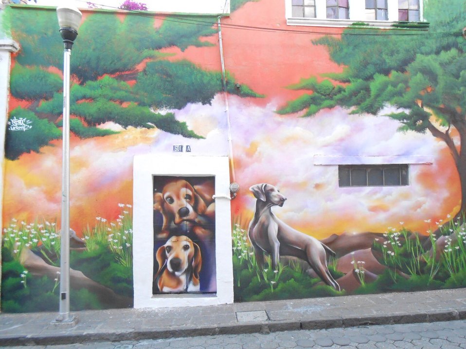 Participan más de 80 jóvenes en taller "Grafiti con Arte". (Especial)