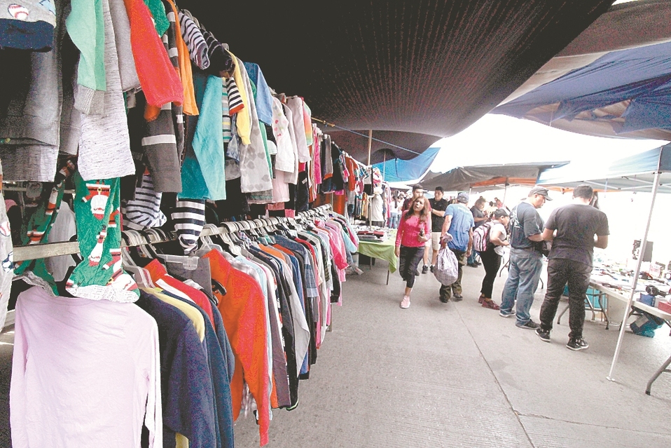 Rodantes en Sur de Tamaulipas. (Yazmín Sánchez)