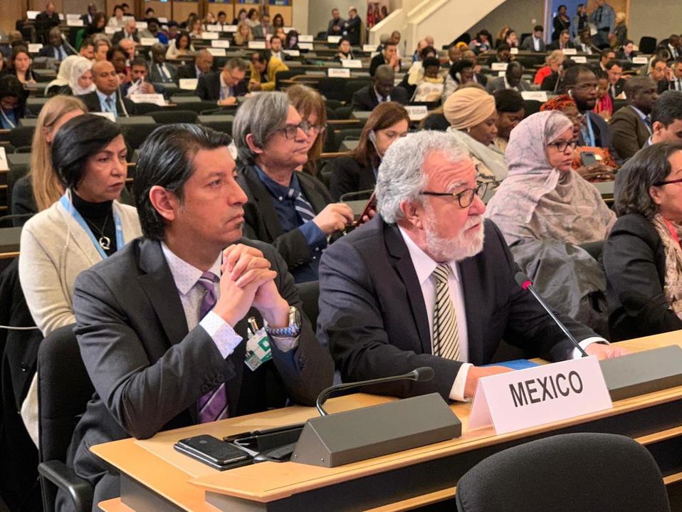 Cristopher Ballinas Valdés y Alejandro Encinas, los representantes de México en el foro (SRE)