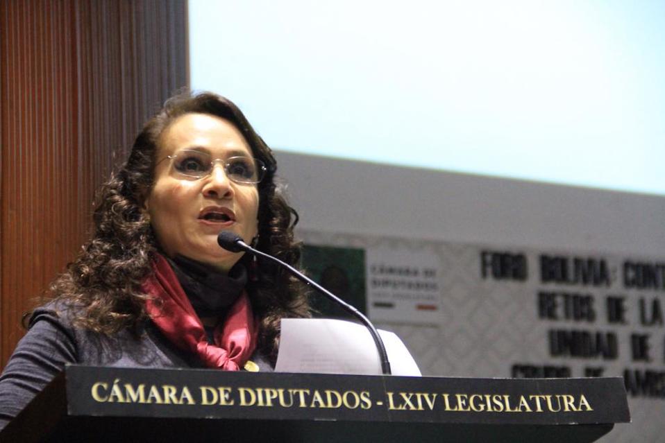 La diputada Dolores Padierna./ Especial