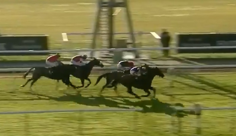 La épica remontada de un equino en una carrera de caballos (Especial)