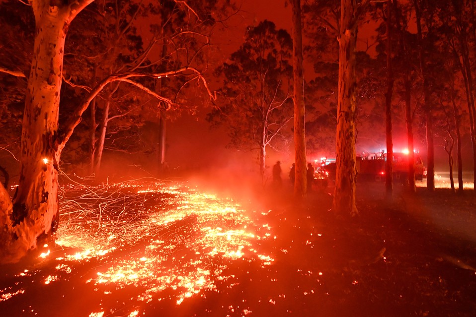 Una ola de calor sin precedentes ha provocado devastadores incendios forestales en Australia.