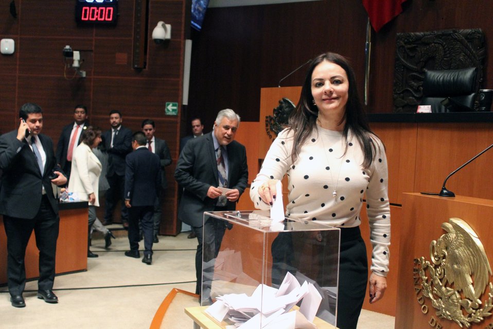 Nuvia Mayorga, senadora del PRI (@Nuvia_Mayorga)
