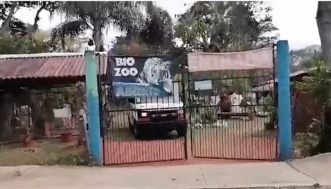 El zoológico alberga animales abandonados por circos. (Isabel Zamudio)