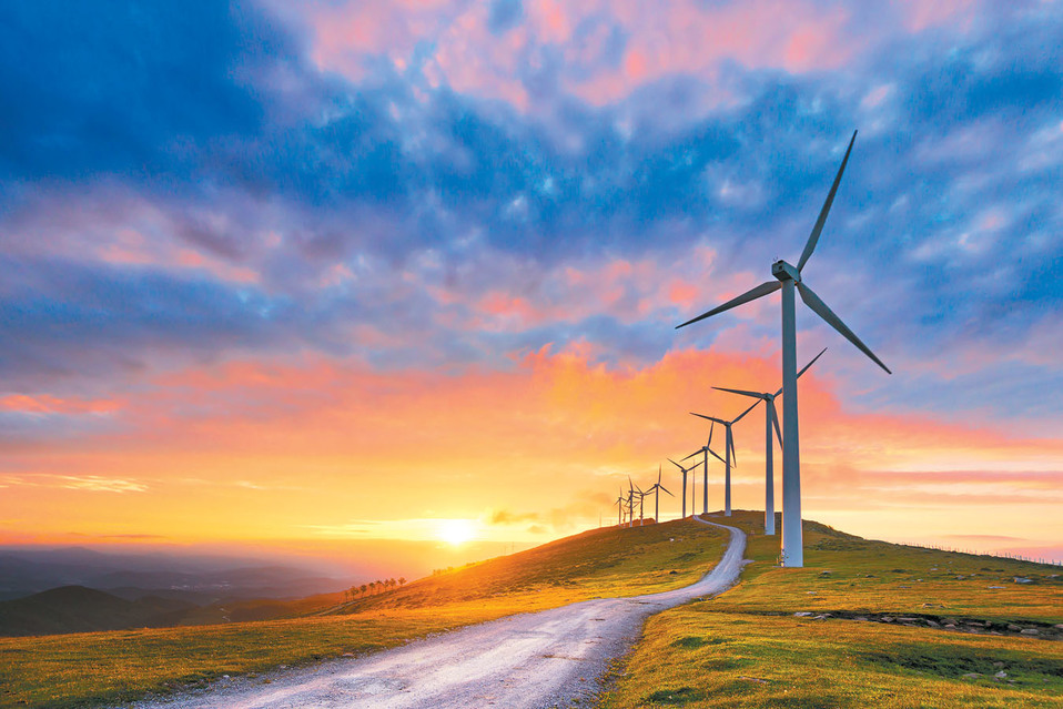 El empresario invierte en energía eólica solo porque el gobierno le pagó para que lo hiciera. (Shutterstock)