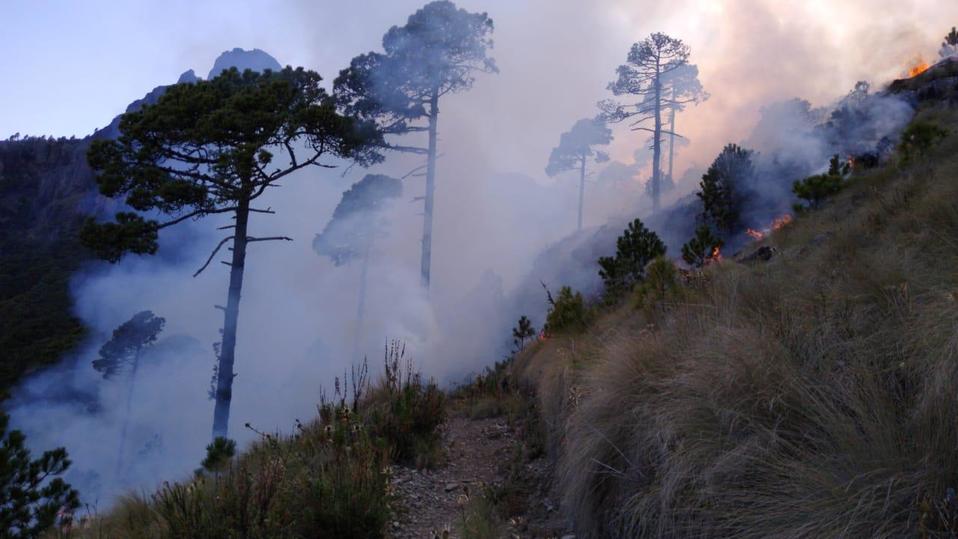 El incendio ha afectado 20 hectáreas.