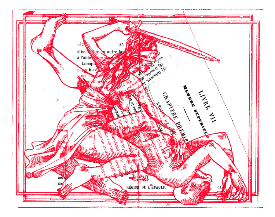 Justicia para todas Grupo Milenio