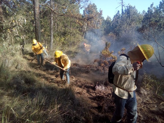 Puebla registra 10 incendios en lo que va de 2020. (Especial)