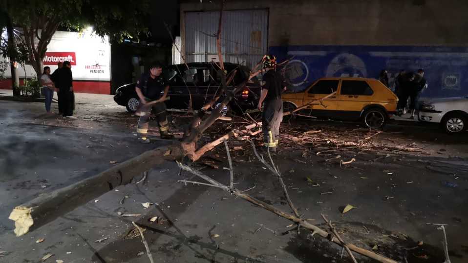 La rama cayó sobre dos autos que estaban estacionados en la colonia Anáhuac. (Gabriel Ortega)