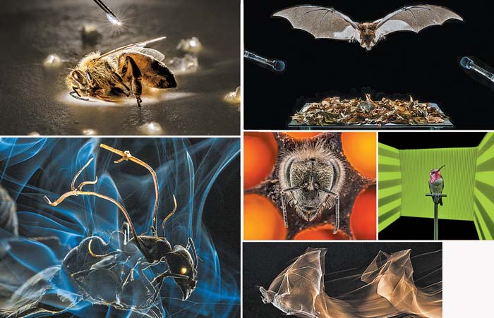 “La naturaleza siempre te va a sorprender, incluso si sabes lo que vas a hacer”. Anand Varma
