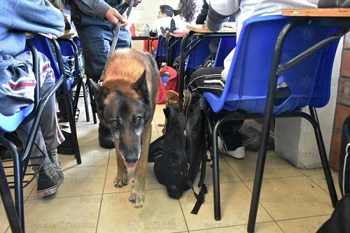 Las revisiones se hacen con apoyo de canes. (Especial)