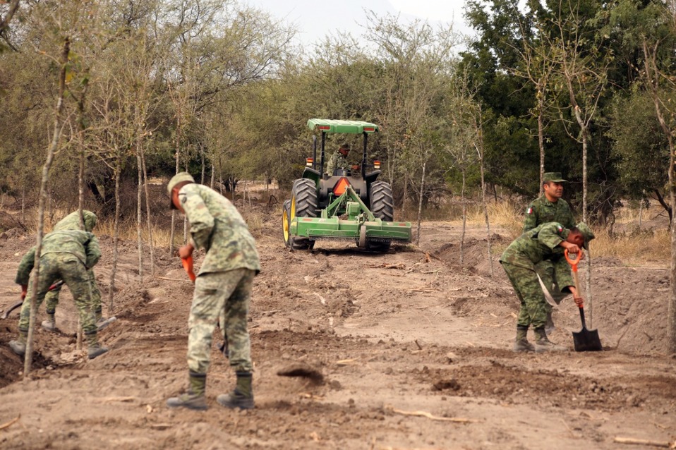 Con la plantación de estos dos mil árboles ya suman 8 mil 500 ejemplares en la zona. (Foto: Roberto Alanís)
