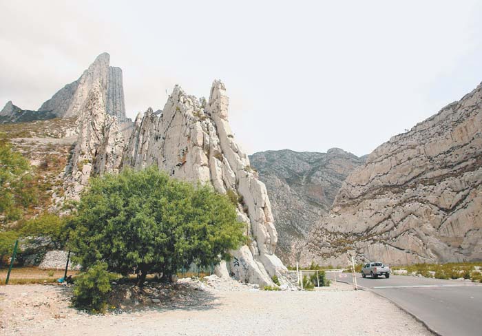 Recientemente se ha dado a conocer el desmonte en áreas aledañas a Valle de Reyes. Roberto Alanís/Archivo