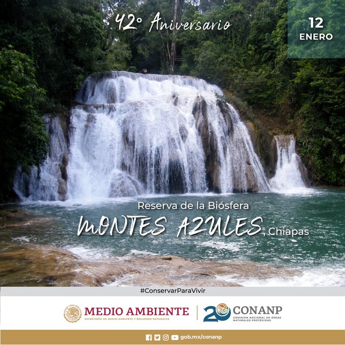 Piden ONG’s salvaguardar riqueza ambiental de reserva Montes Azules. (Tomada de @CONANP_mx)
