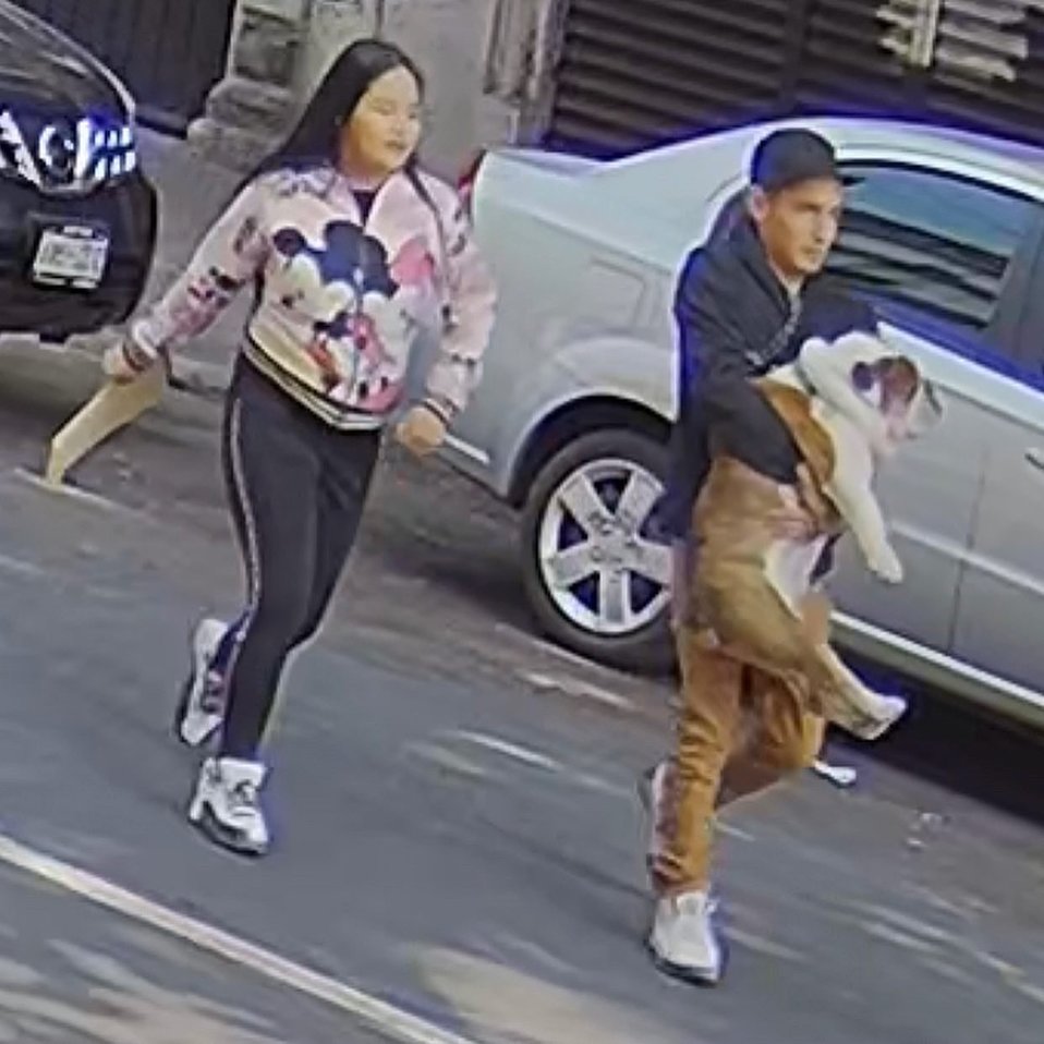 Emilio fue llevado por una pareja, quien de acuerdo con videos y testigos, dio la vuelta en la calle Tonalá./ Especial