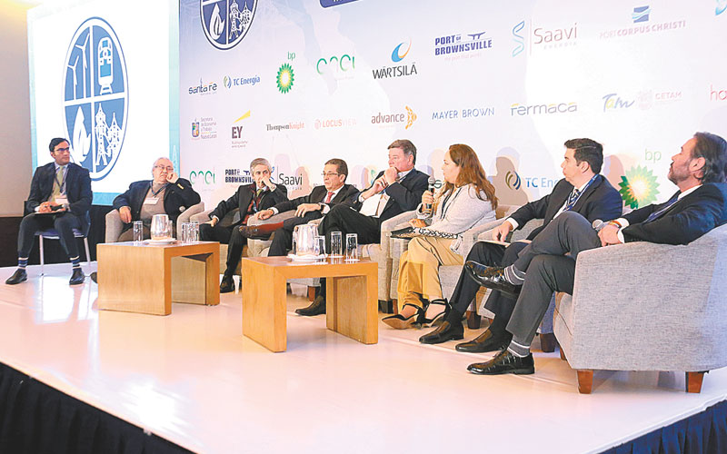 Abordaron el tema en un foro de Energía. (Raúl Palacios)
