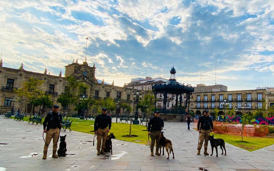 Llegan cuatro canes a las filas del K9 (Cortesía)