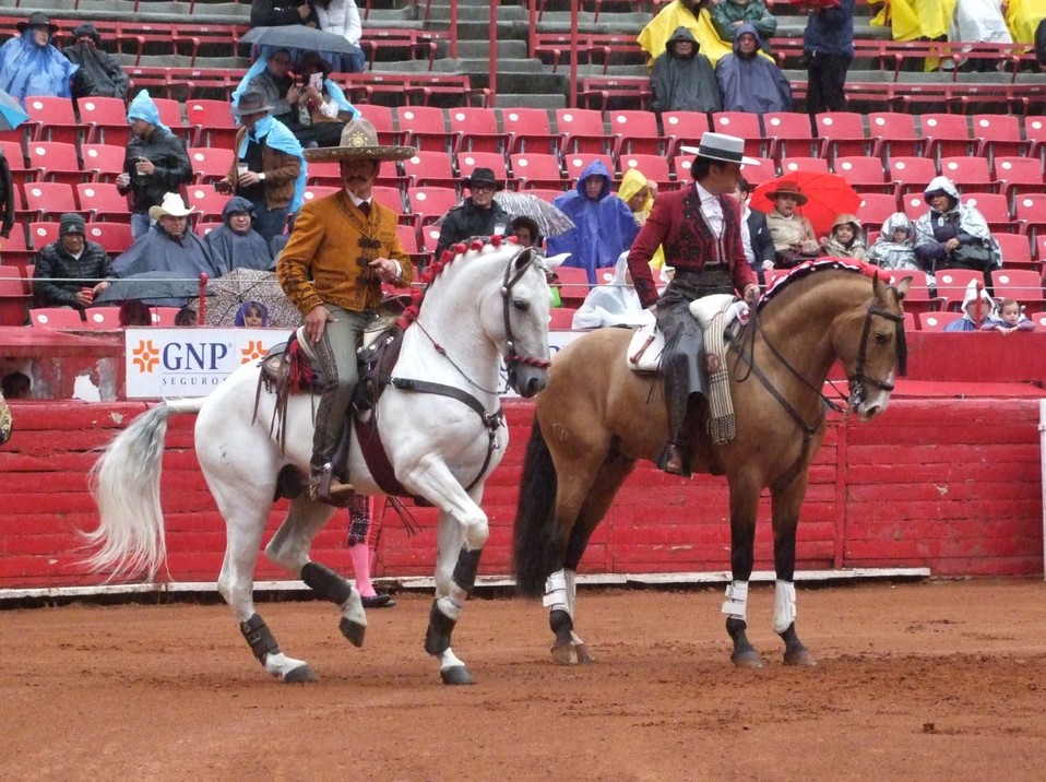 Una oreja para cada caballista en la México (Jorge Matchain)