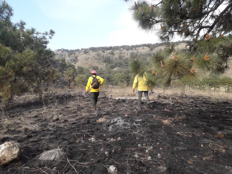 Incendio en La Primavera afecta más de dos hectáreas (Twitter @SemadetJal)