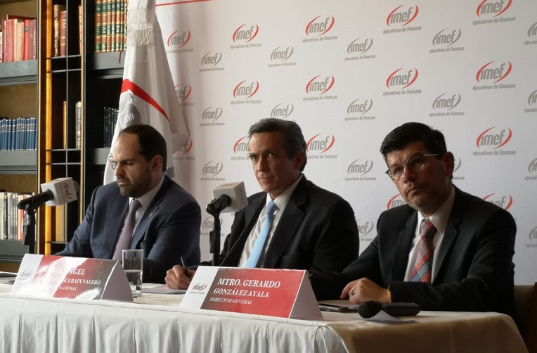 Conferencia de prensa del IMEF. Foto: (Silvia Rodríguez)