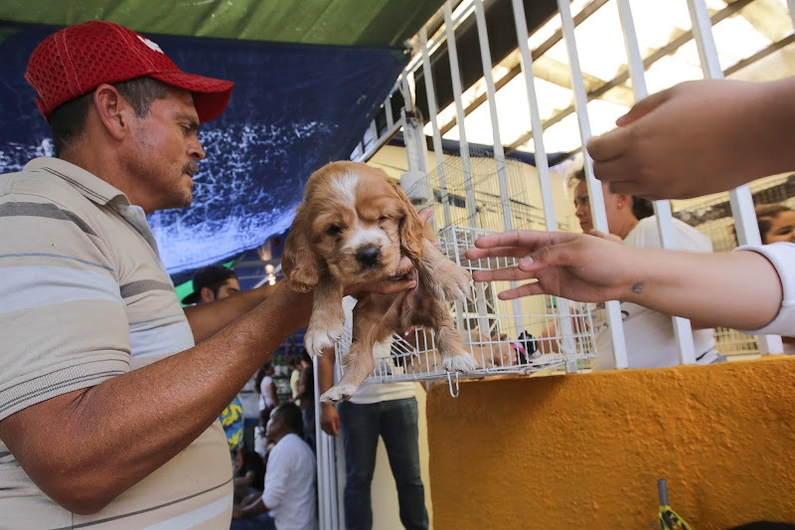 El objetivo es garantizar el bienestar de los animales. (ESPECIAL)