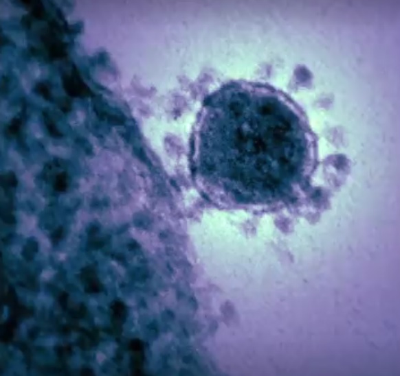 El primer posible caso de coronavirus en México se localiza en Reynosa.