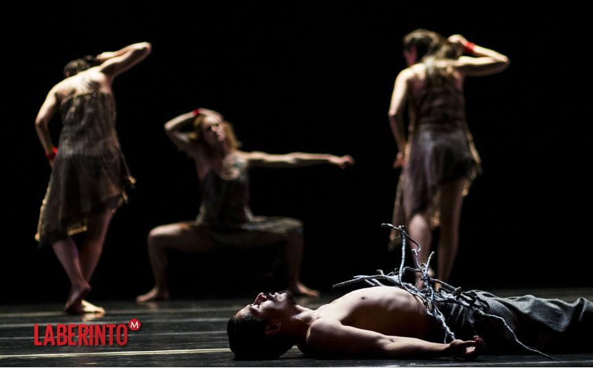 En  el contexto actual hay que voltear hacia los espacios para la danza y fortalecerlos. (Foto: Danza UNAM)