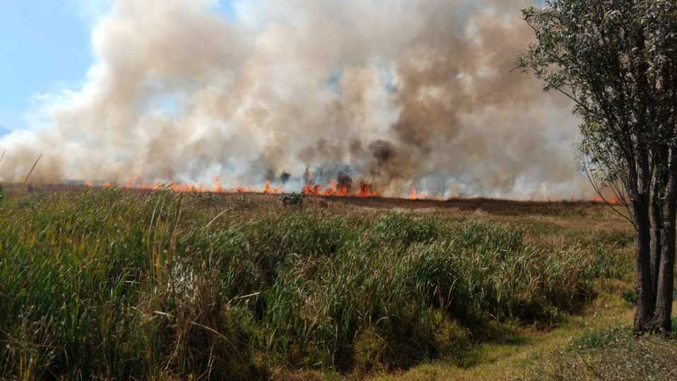 Incendio de pastizal en Xochimilco. (Tomado de @SGIRPC_CDMX)